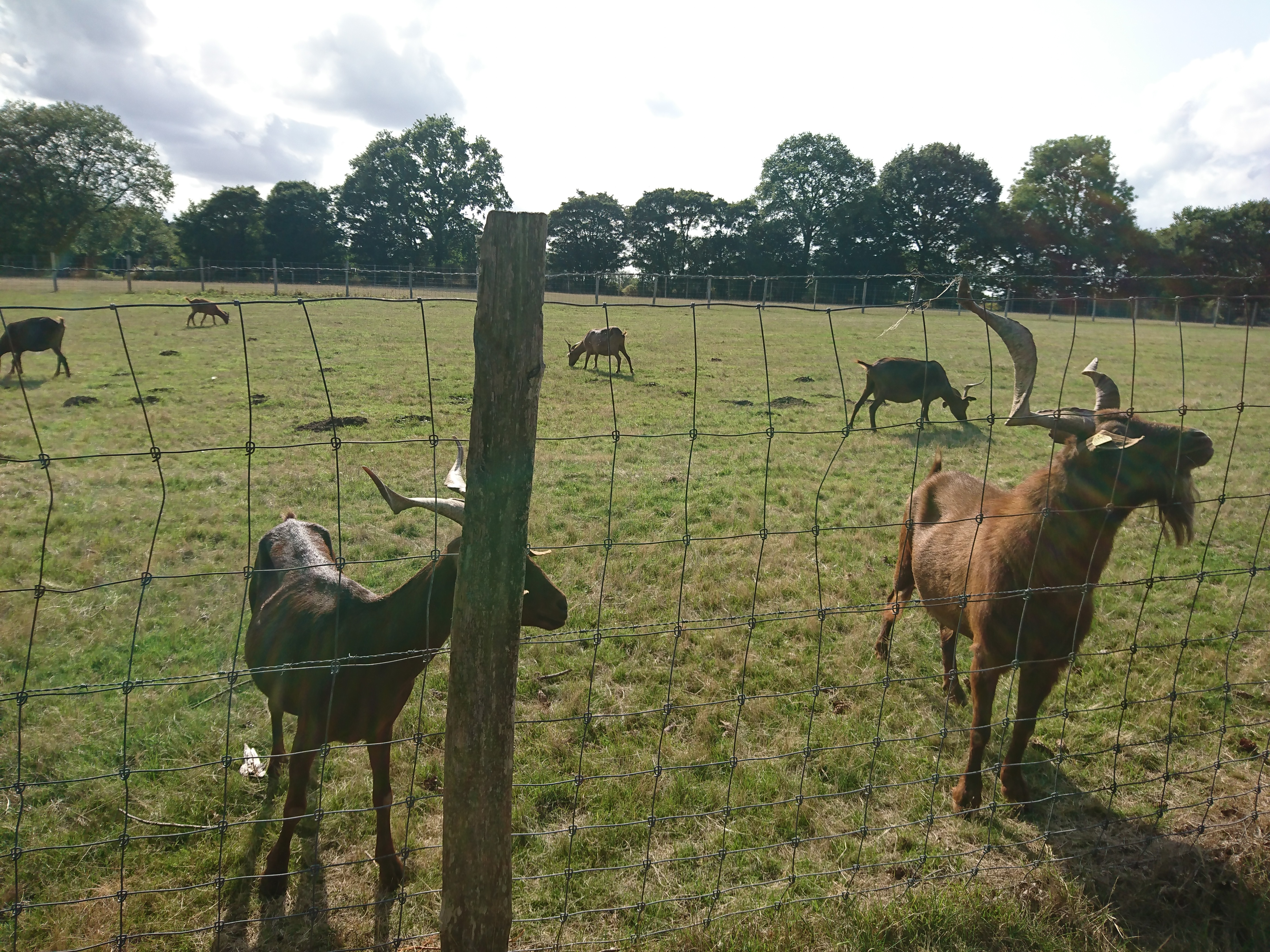 Photo n° 2 de l'avis de Rodolphe.h fait le 19/08/2017 à 15:39