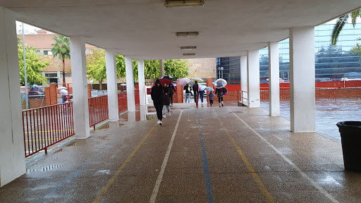 CEIP Mare de Déu de l'Assumpció, Institución educativa pública en Vinaròs,Castellón