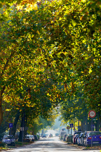 parkoló pont, találkozó - Tatabánya