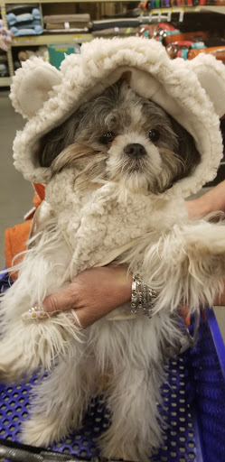 Pet Supply Store «PetSmart», reviews and photos, 1321 W Craig Rd, North Las Vegas, NV 89032, USA