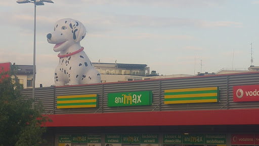 Dog boarding kennels in Bucharest