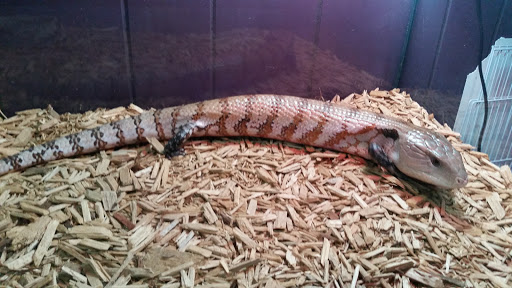 Pet Store «Plattsmouth Pets», reviews and photos, 430 Main St, Plattsmouth, NE 68048, USA