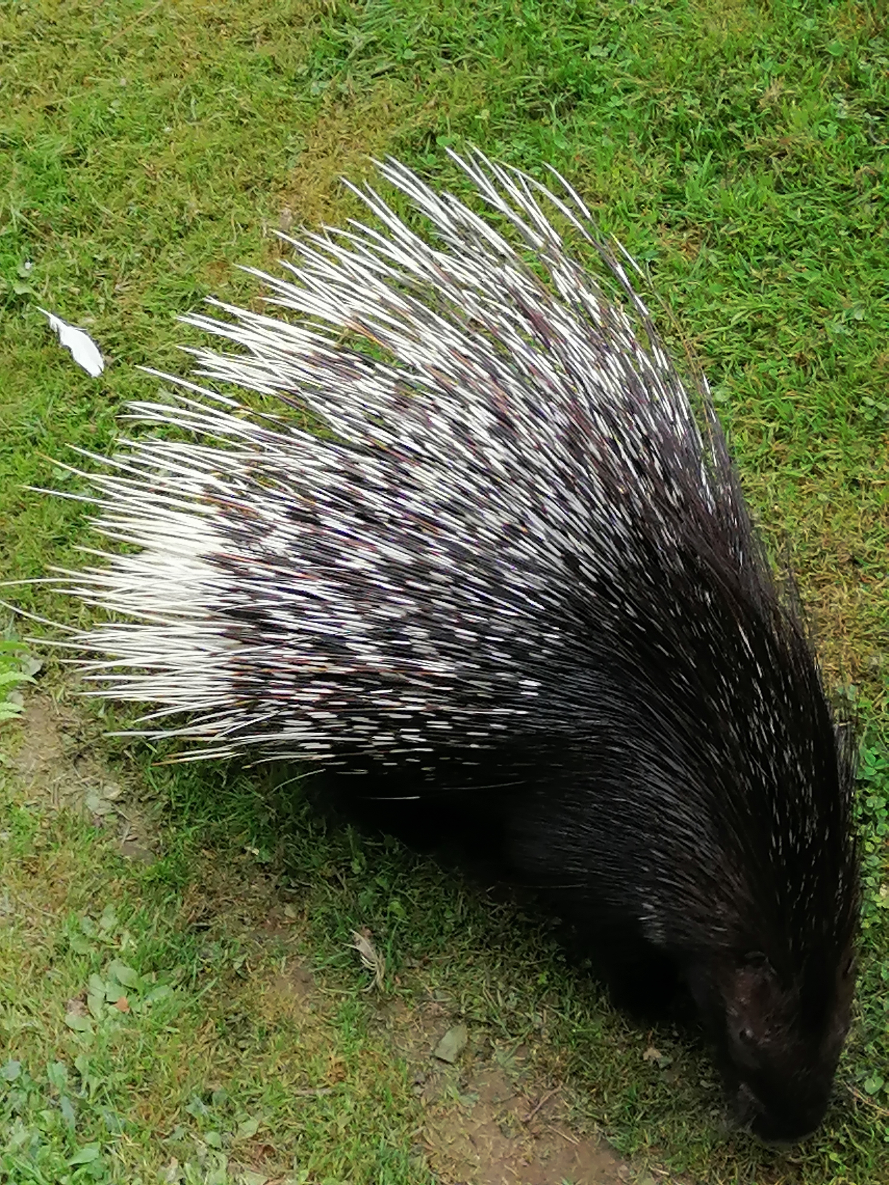 Photo n° 16 de l'avis de francis.o fait le 26/08/2021 à 14:27