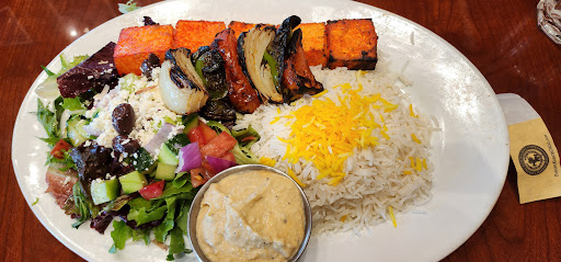 Panini Kabob Grill