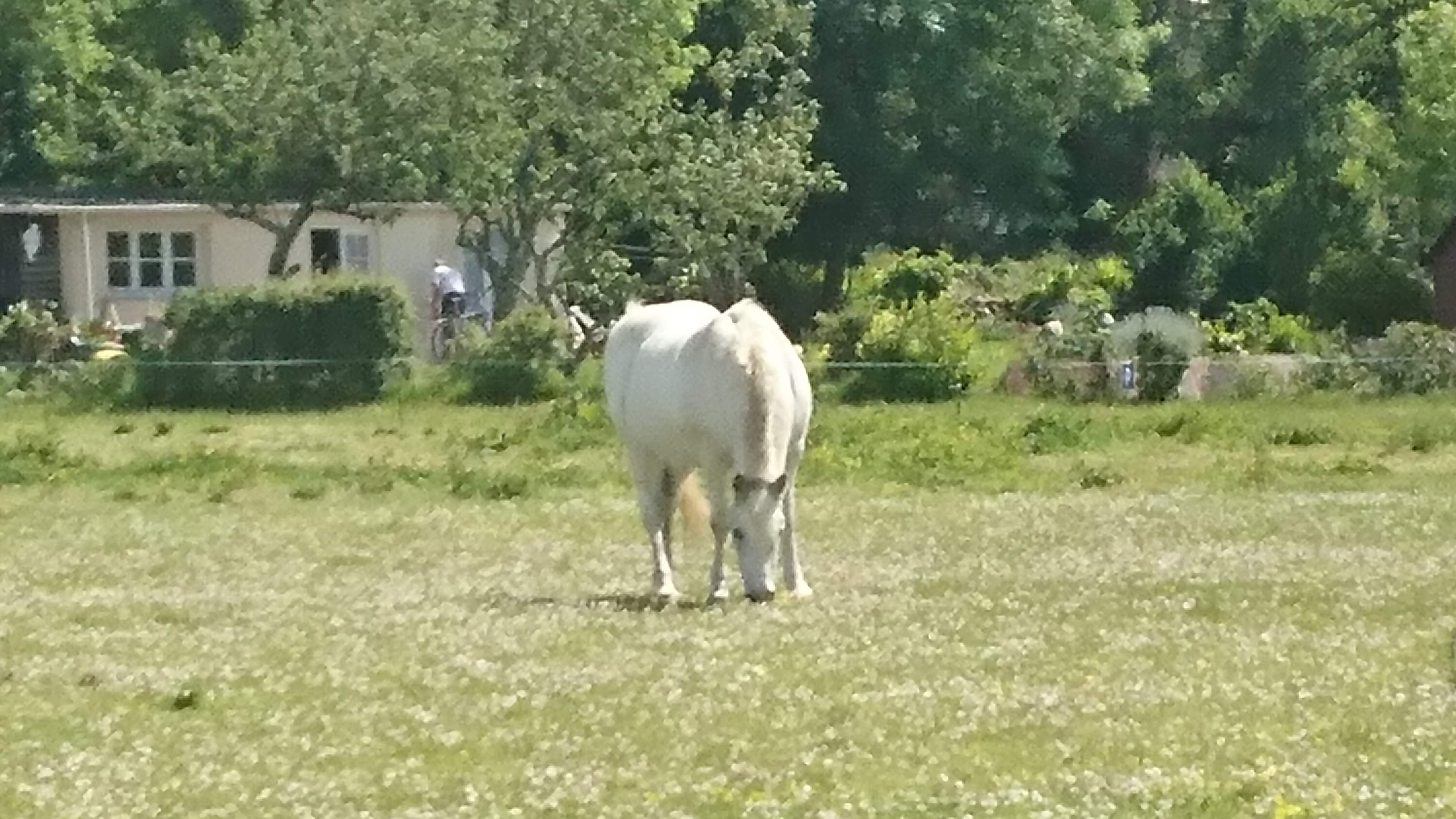 Photo n° 2 de l'avis de Jean.e fait le 12/06/2020 à 09:44