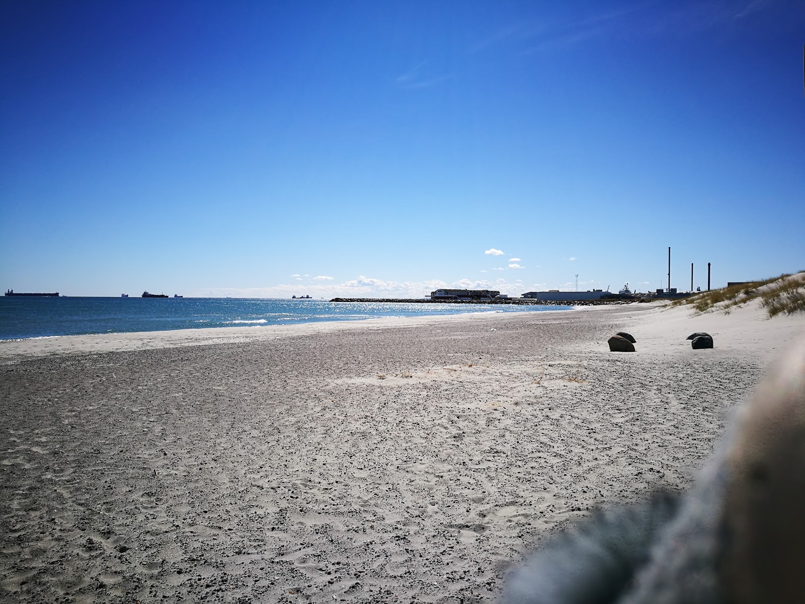 Fotografija Skagen Sonder Beach z dolga ravna obala