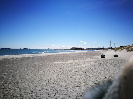 Skagen Sonder Beach