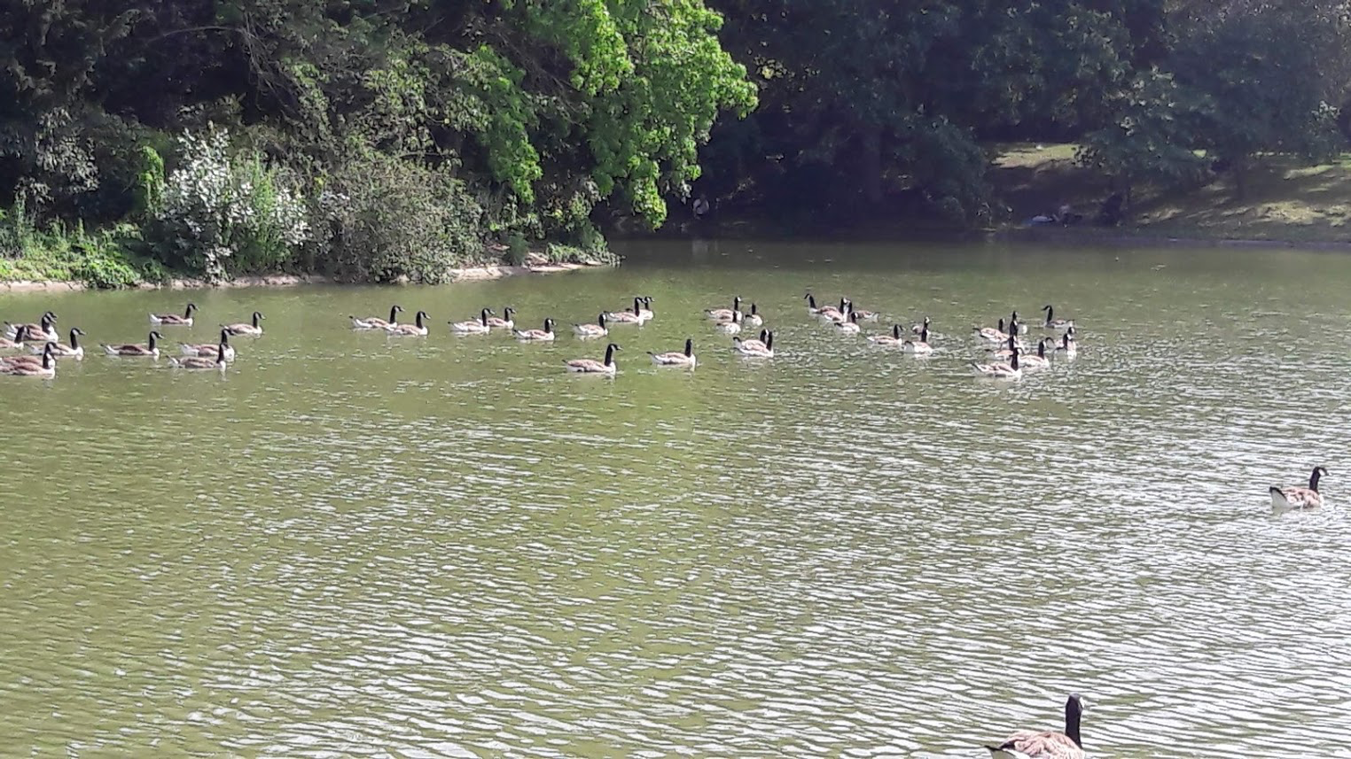 Photo n° 3 de l'avis de Françoise. fait le 27/08/2019 à 08:25