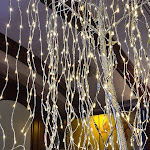 Photo n°2 de l'avis de Donatella.i fait le 13/12/2021 à 20:57 sur le  Restaurant Bitone à Bologna