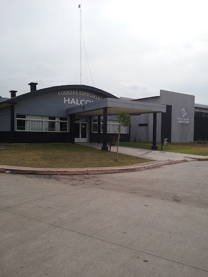 Direccion Halcon