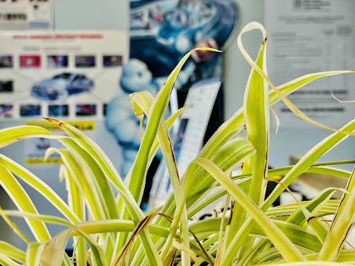 Tire Shop «Discount Tire Center», reviews and photos, 1406 NJ-37, Toms River, NJ 08753, USA