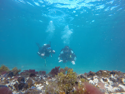 Patagonian Divers