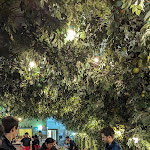 Photo n°3 de l'avis de Stefano.i fait le 27/04/2024 à 21:07 sur le  La Sidreria à Milan