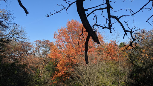 Park «Randol Mill Park», reviews and photos, 1901 W Randol Mill Rd, Arlington, TX 76012, USA