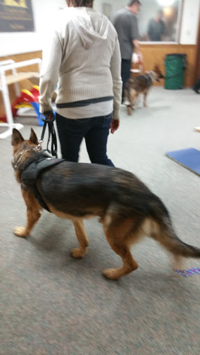 Pet Supply Store «All Pet & Equine Supply», reviews and photos, 1120 Porter Wagoner Blvd, West Plains, MO 65775, USA