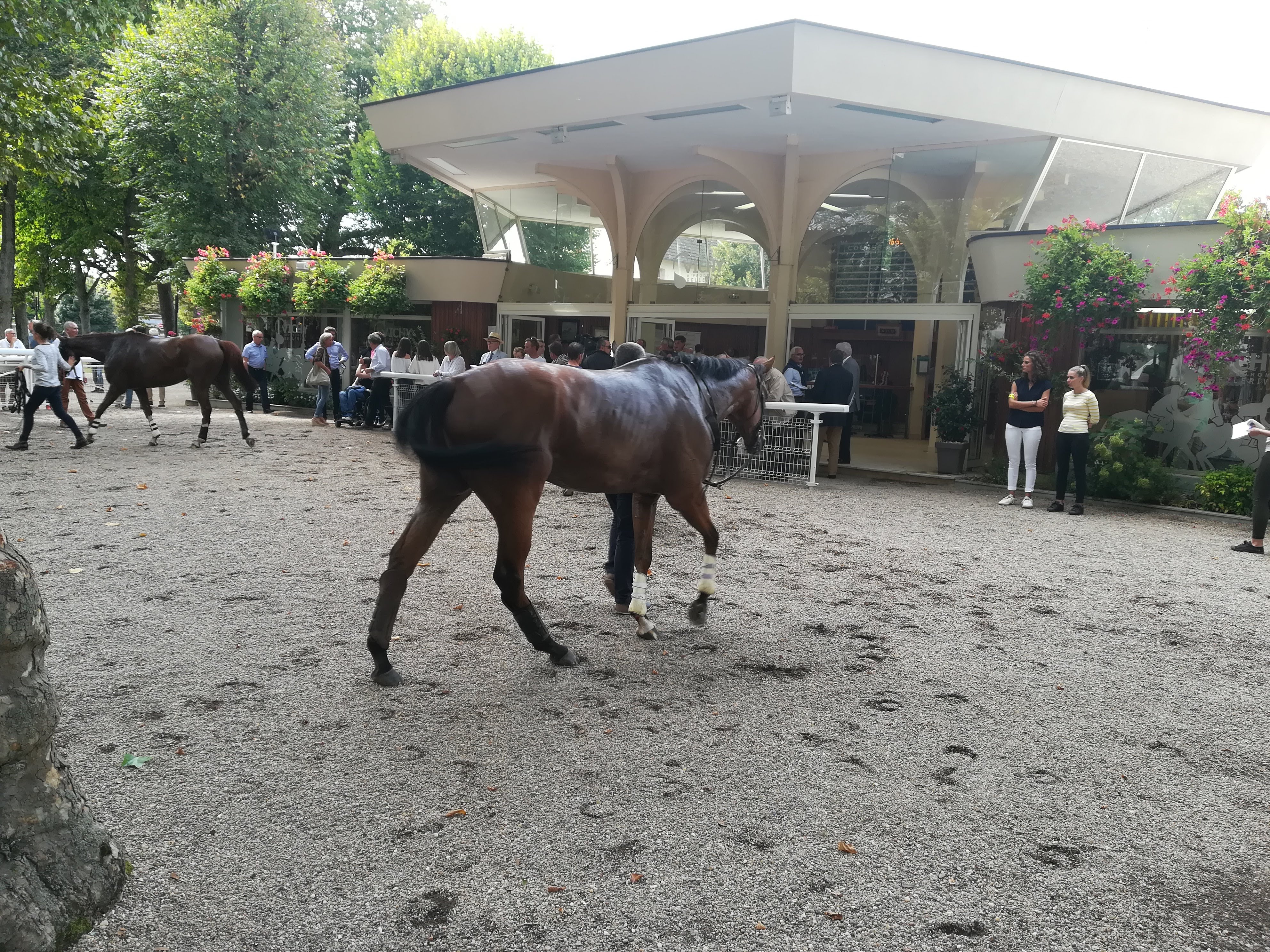Photo n° 19 de l'avis de Salomon.a fait le 05/09/2018 à 18:40