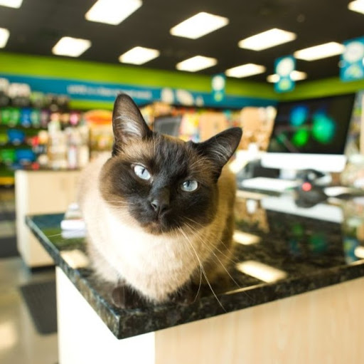 Pet Supply Store «Pet Evolution - Pet Food | Dog Wash | Grooming», reviews and photos, 429 Commerce Dr, Woodbury, MN 55125, USA