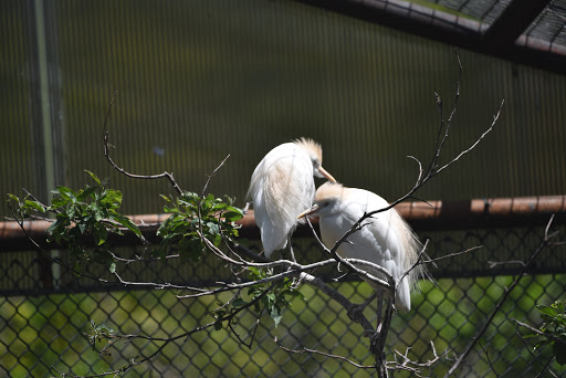 Zoo «Washington Park Zoo», reviews and photos, 115 Lake Shore Dr, Michigan City, IN 46360, USA