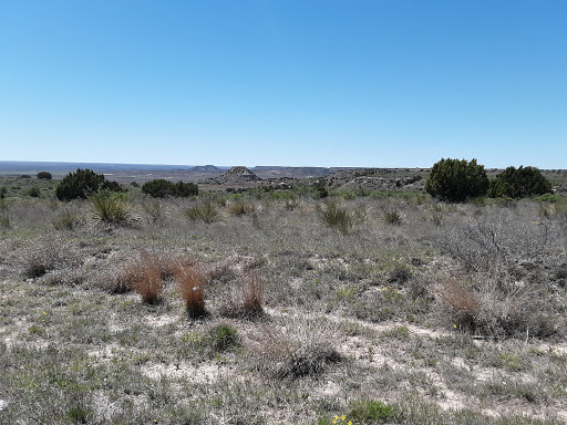 Mesa Vista Overlook image 2