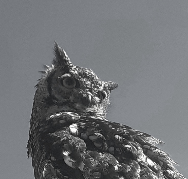 Photo n° 3 de l'avis de Pink.i fait le 06/09/2021 à 16:33