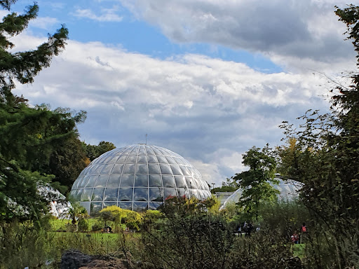 Tropenhäuser im Botanischen Garten der Universität Zürich