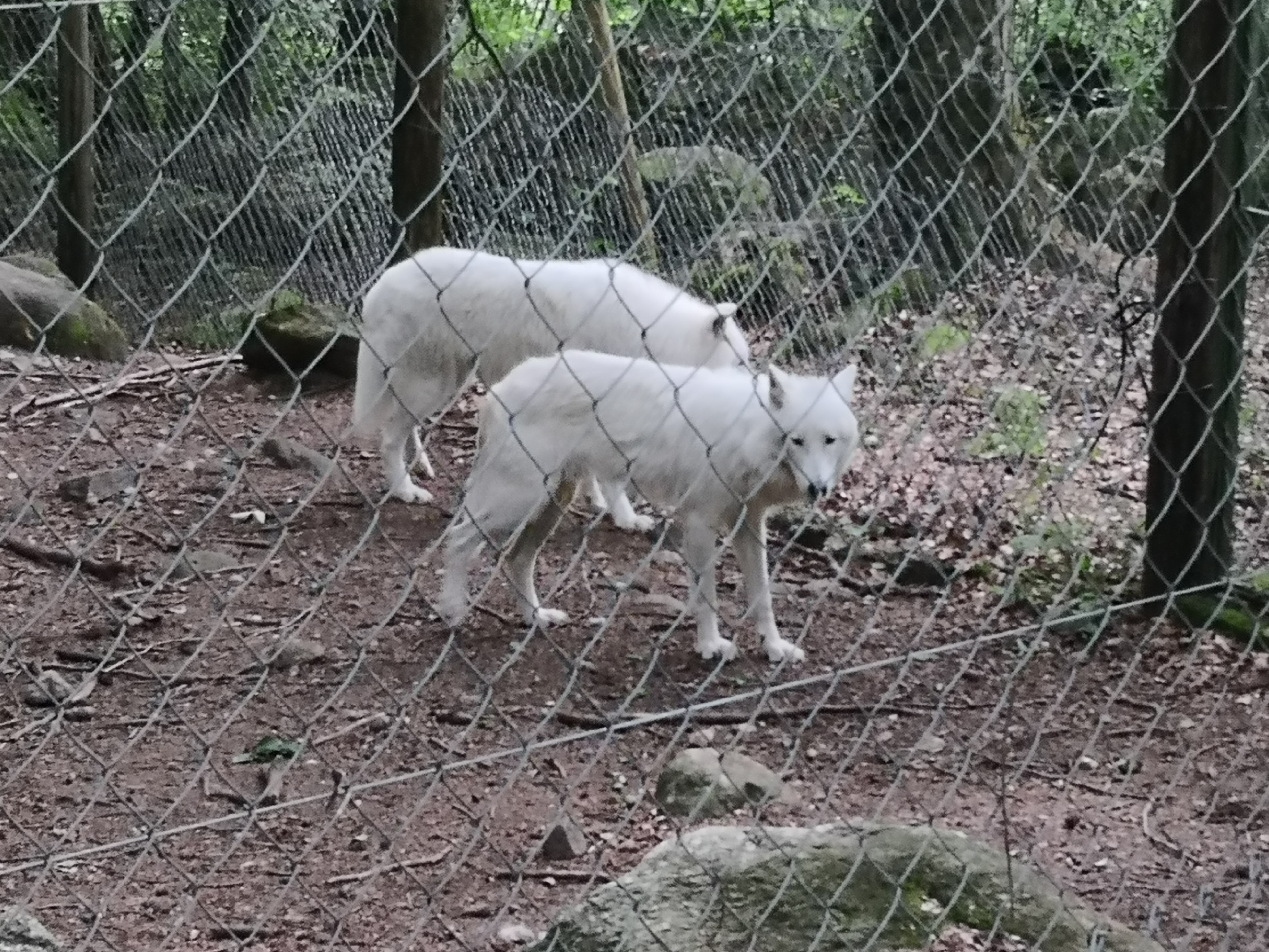 Photo n° 5 de l'avis de Denis.a fait le 08/06/2019 à 09:49
