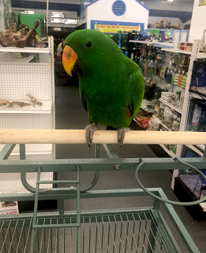 Pet Store «B & B Pet Stop, Inc.», reviews and photos, 5035 Cottage Hill Rd, Mobile, AL 36609, USA