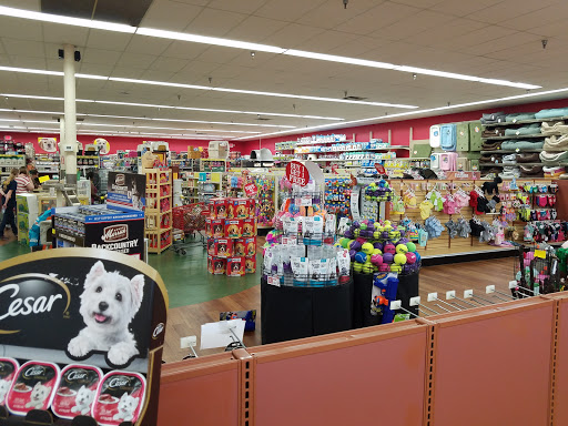 Pet Supply Store «Pet Supermarket», reviews and photos, 3806 S Dale Mabry Hwy, Tampa, FL 33629, USA