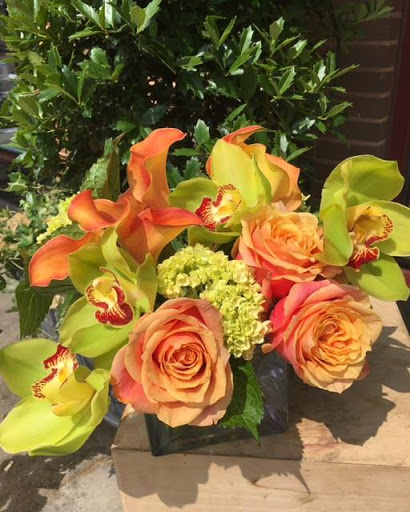 Florist «Allan Woods Flowers», reviews and photos, 2645 Connecticut Ave NW, Washington, DC 20008, USA