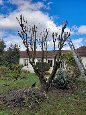 debarre Jericho à Verrières-le-Buisson