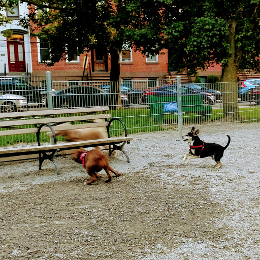 Dog Park «Church Square Park Dog Park», reviews and photos, 401-449 Willow Ave, Hoboken, NJ 07030, USA