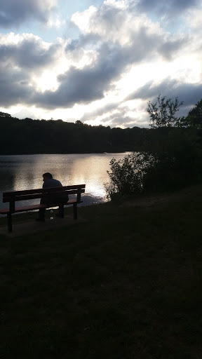 Grocery Store «Purchase Street Market Inc», reviews and photos, 89 Purchase St, Milford, MA 01757, USA