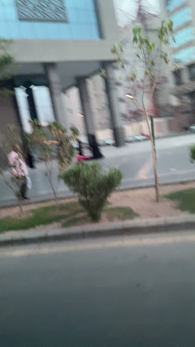 8932 بشير بن عتيك، المغيسلة، المدينة المنورة 42315 4420،
