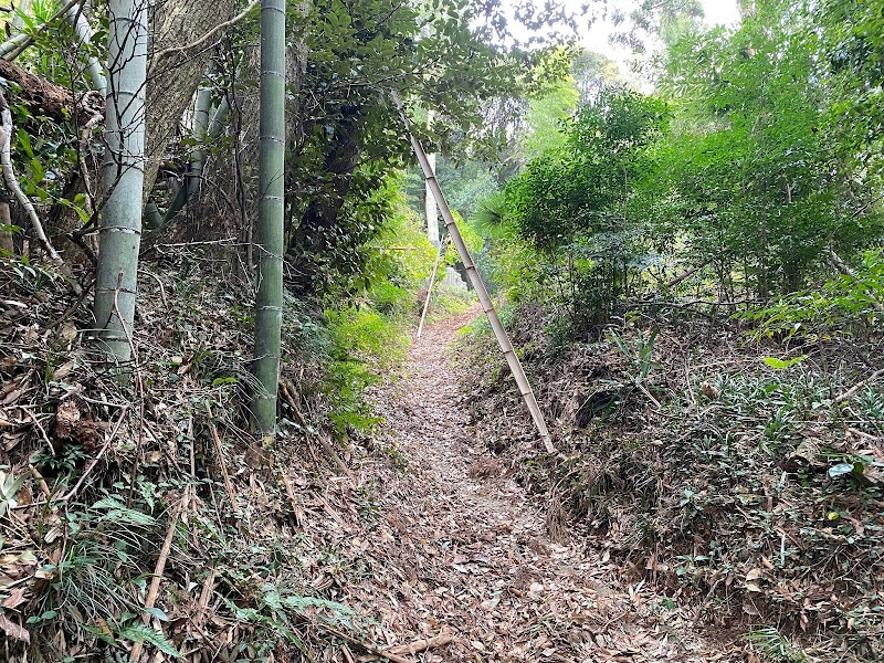 八田砦Ⅱ跡