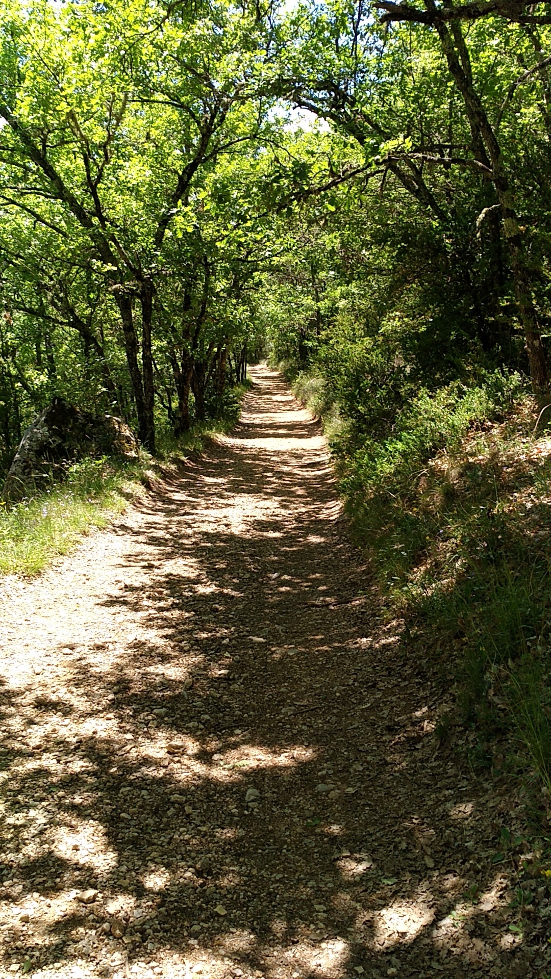 Photo n° 3 de l'avis de Marie-laure.e fait le 31/05/2019 à 15:26