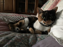 Claudia's Cloud 9 - Photo 6 - Car repair in , Burbank