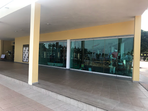 Apollo Sports