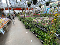 Garden Center at The Home Depot - Photo 3 - Car repair in Riverside, CA, Riverside