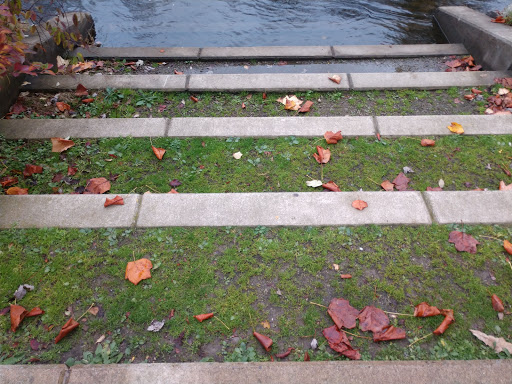 Mill «Sharon Mills County Park», reviews and photos, 5701 Sharon Hollow Rd, Manchester, MI 48158, USA