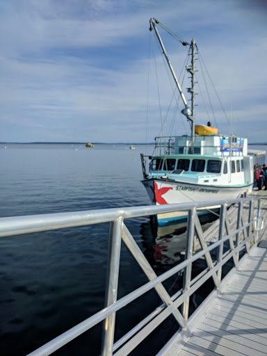 Natural History Museum «George B. Dorr Museum of Natural History», reviews and photos, 105 Eden St, Bar Harbor, ME 04609, USA