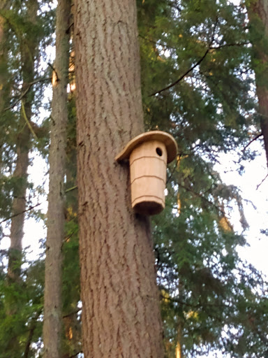 Water Park «Rotary Centennial Water Playground», reviews and photos, 802 E Mukilteo Blvd, Everett, WA 98203, USA