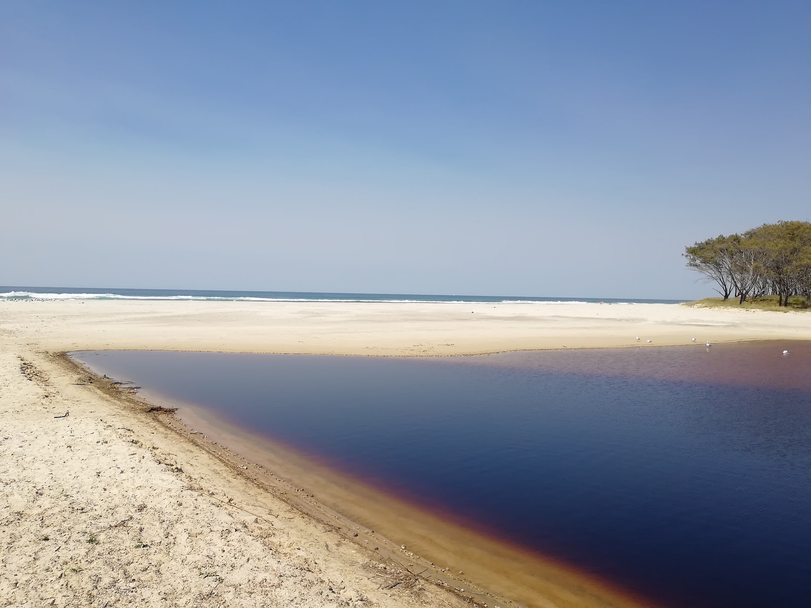 Photo de Tallow Beach - endroit populaire parmi les connaisseurs de la détente