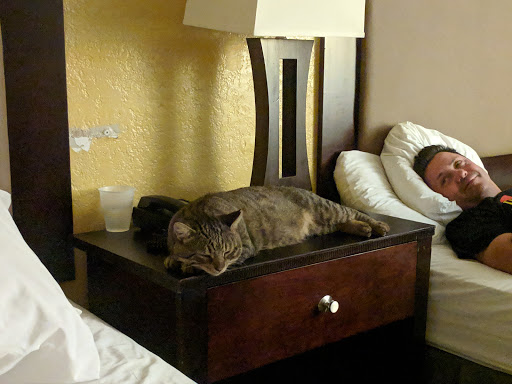 Hotel «Rodeway Inn Near Ybor City - Casino», reviews and photos, 2904 Melburne Blvd, Tampa, FL 33605, USA