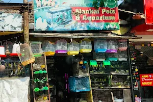 Alankar Pet Shop And Aquarium image