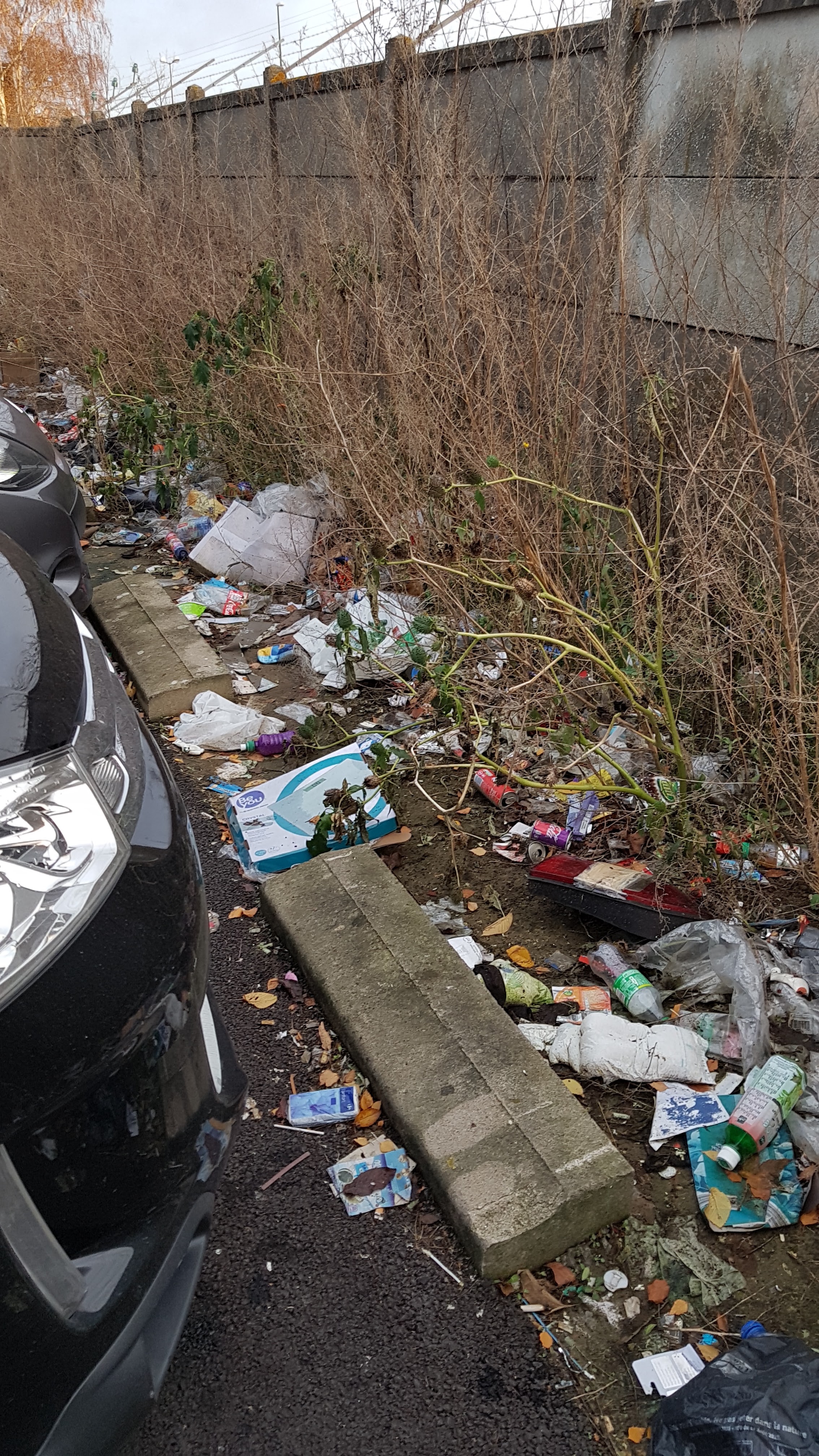 Photo n° 3 de l'avis de francoise.l fait le 04/12/2019 à 11:03