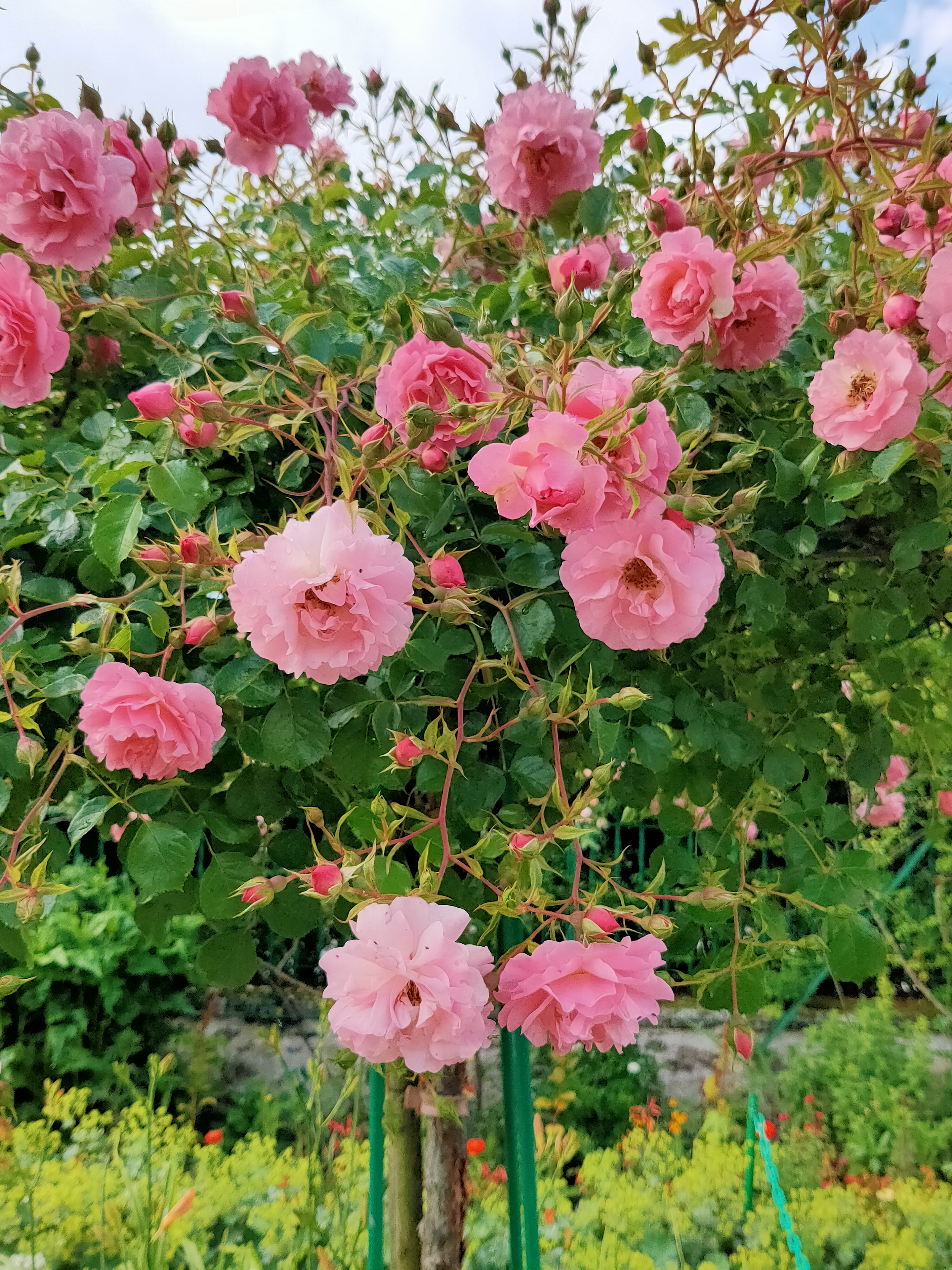 Photo n° 5 de l'avis de Juliette.e fait le 08/06/2022 à 08:02