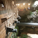 Photo n°11 de l'avis de Massimo.. fait le 22/10/2021 à 19:58 sur le  Pirates'Bay Restaurant - Olgiate Olona (VA) à Olgiate Olona