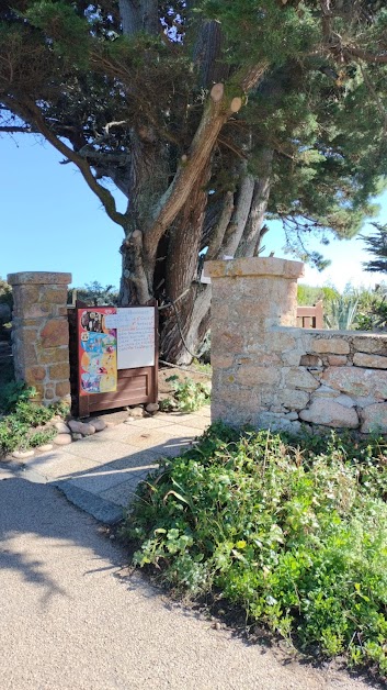 le paradis rose à Île-de-Bréhat (Côtes-d'Armor 22)