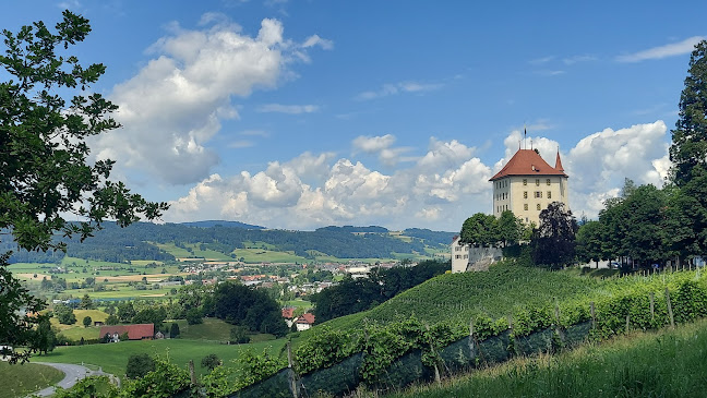 Rezensionen über Schloss Heidegg in Sursee - Museum