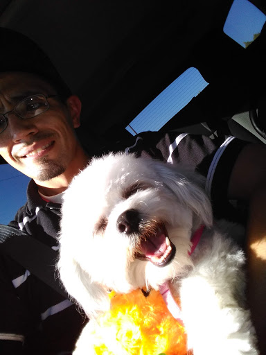 Pet Supply Store «PetSmart», reviews and photos, 470 Shaw Ave, Clovis, CA 93612, USA